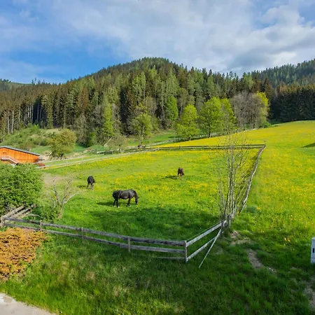 Huberhof 8 By Alpenidyll Apartmán